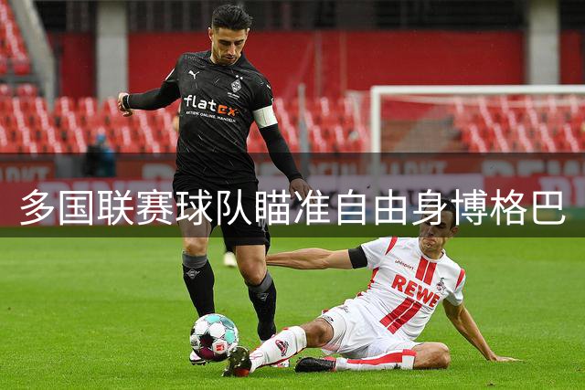 多国联赛球队瞄准自由身博格巴